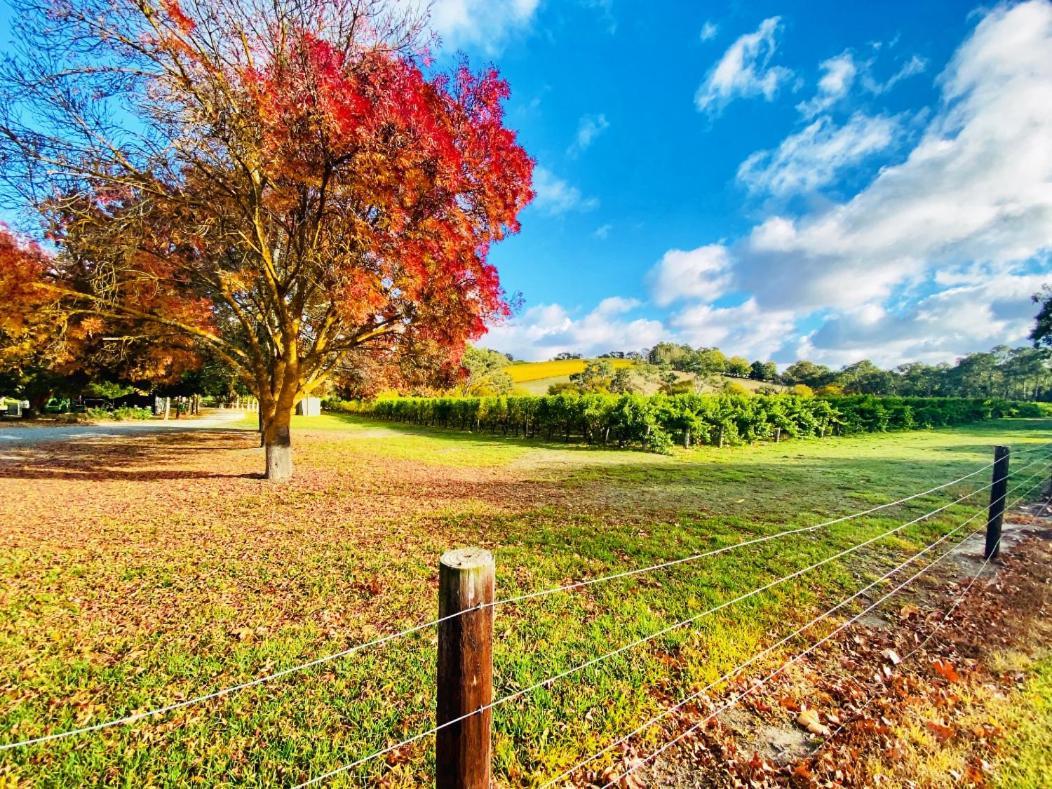 Hotel Adelaide Hills Escape à Woodside Extérieur photo